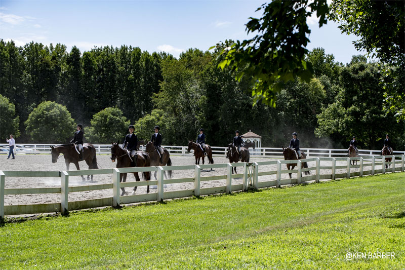 Horse Park of NJ 2019 photos