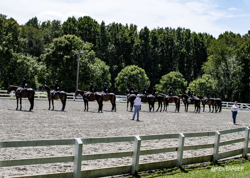 Horse Park of NJ 2019 photos