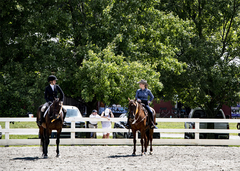 Horse Park of NJ 2019 photos