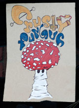 Photo:  Crusty Fungus logo