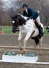 photo:  Jumping horse