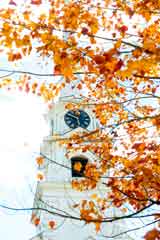 photo:  White church and foliage